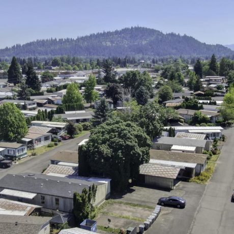 aerial view of twin cedars