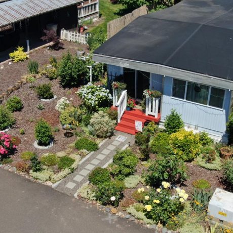 aerial view of twin cedars home with plants