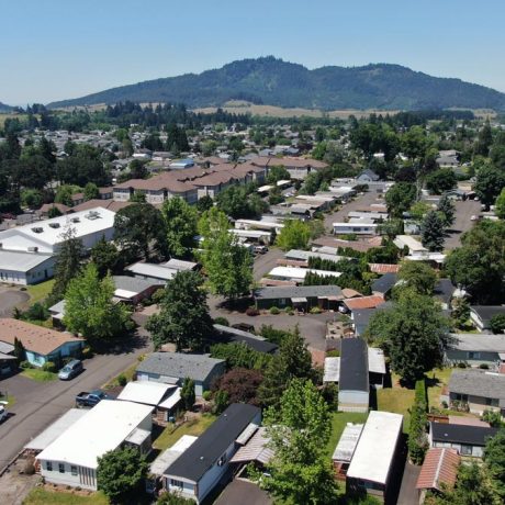 aerial view of twin cedars